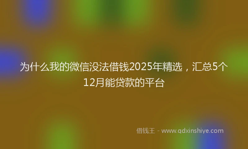 为什么我的微信没法借钱2025年精选，汇总5个12月能贷款的平台