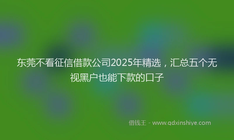 东莞不看征信借款公司2025年精选,汇总五个无视黑户也能下款的口子