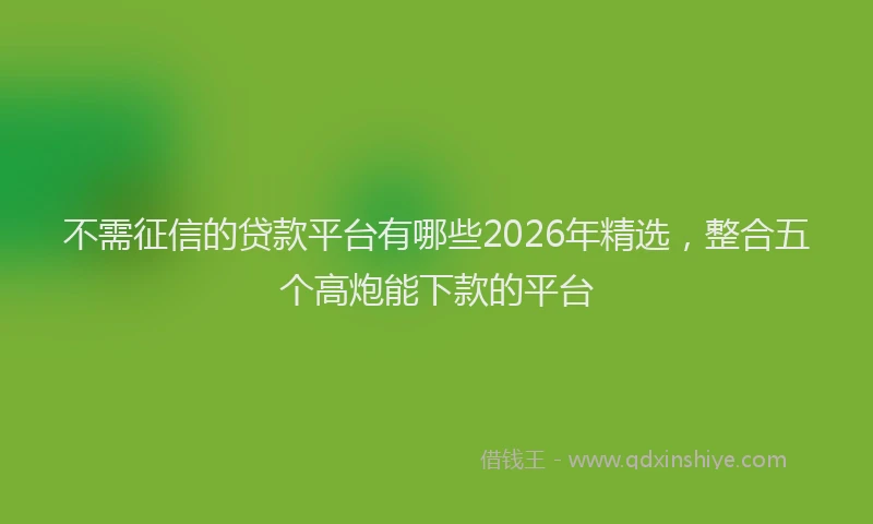 不需征信的贷款平台有哪些2026年精选，整合五个高炮能下款的平台