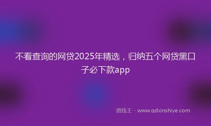不看查询的网贷2025年精选，归纳五个网贷黑口子必下款app