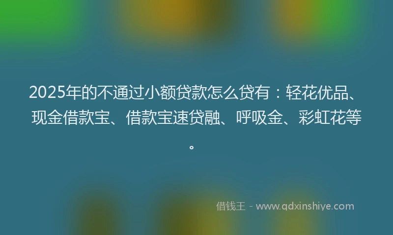 2025年的不通过小额贷款怎么贷有：轻花优品、现金借款宝、借款宝速贷融、呼吸金、彩虹花等。