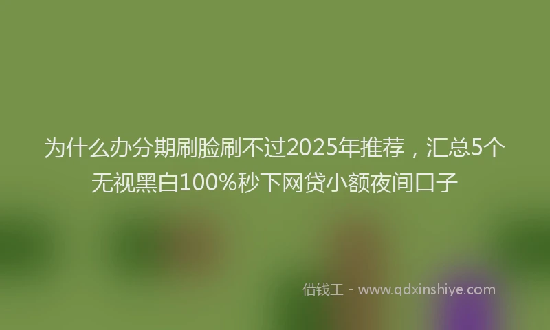 为什么办分期刷脸刷不过2025年推荐，汇总5个无视黑白100%秒下网贷小额夜间口子