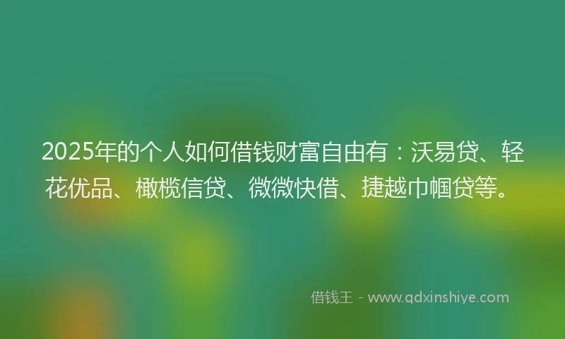 2025年的个人如何借钱财富自由有:沃易贷、轻花优品、橄榄信贷、微微快借、捷越巾帼贷等。