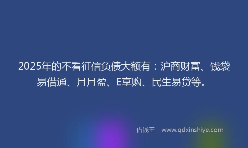 2025年的不看征信负债大额有：沪商财富、钱袋易借通、月月盈、E享购、民生易贷等。