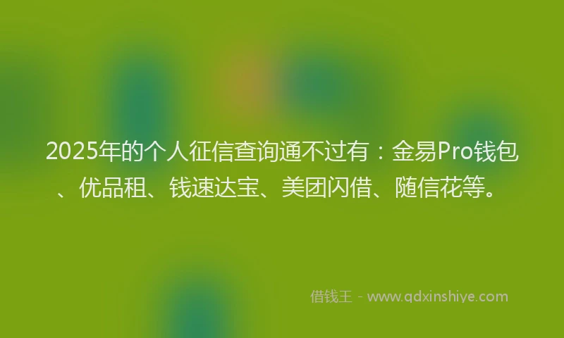 2025年的个人征信查询通不过有：金易Pro钱包、优品租、钱速达宝、美团闪借、随信花等。