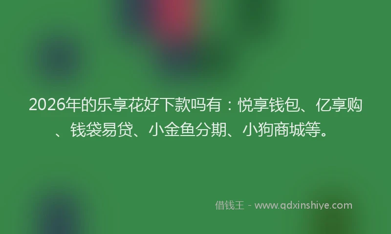 2026年的乐享花好下款吗有:悦享钱包、亿享购、钱袋易贷、小金鱼分期、小狗商城等。