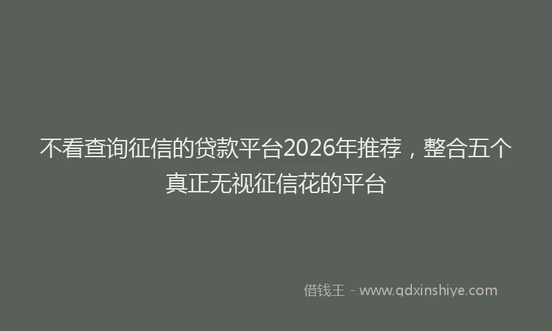 不看查询征信的贷款平台2026年推荐，整合五个真正无视征信花的平台