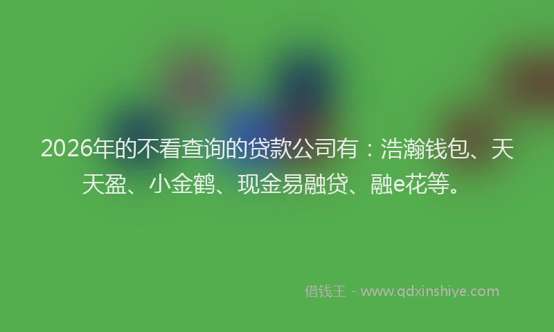 2026年的不看查询的贷款公司有：浩瀚钱包、天天盈、小金鹤、现金易融贷、融e花等。
