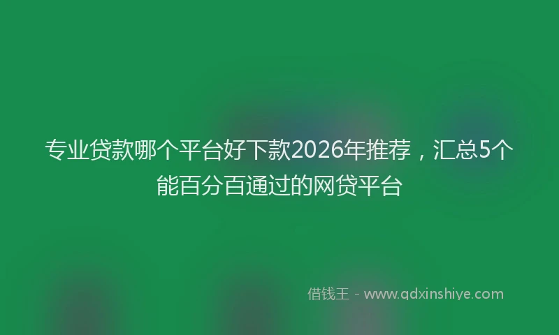 专业贷款哪个平台好下款2026年推荐，汇总5个能百分百通过的网贷平台