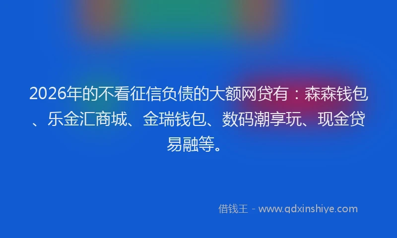 2026年的不看征信负债的大额网贷有：森森钱包、乐金汇商城、金瑞钱包、数码潮享玩、现金贷易融等。