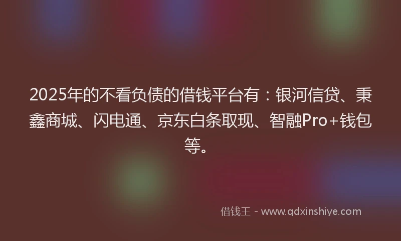 2025年的不看负债的借钱平台有：银河信贷、秉鑫商城、闪电通、京东白条取现、智融Pro+钱包等。