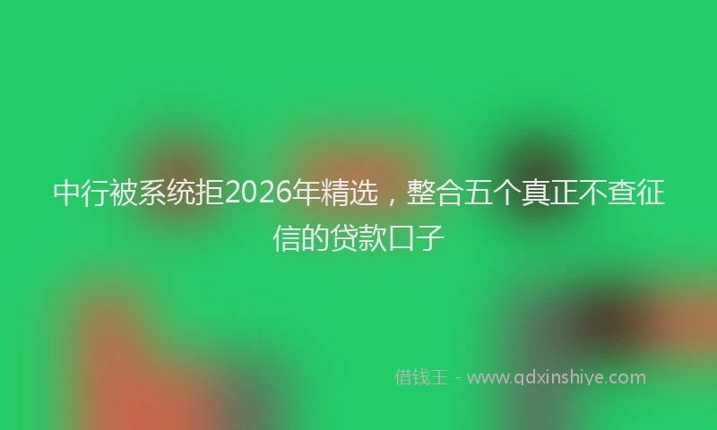 中行被系统拒2026年精选，整合五个真正不查征信的贷款口子