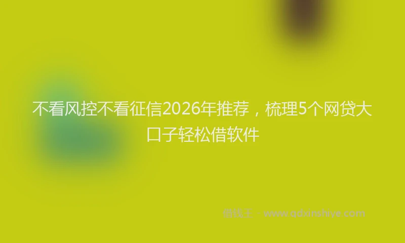 不看风控不看征信2026年推荐，梳理5个网贷大口子轻松借软件