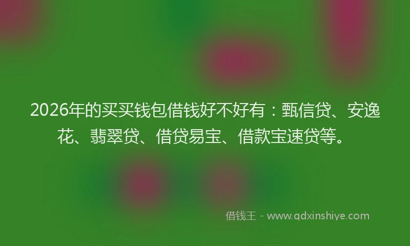 2026年的买买钱包借钱好不好有:甄信贷、安逸花、翡翠贷、借贷易宝、借款宝速贷等。