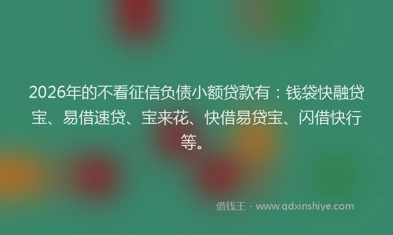 2026年的不看征信负债小额贷款有：钱袋快融贷宝、易借速贷、宝来花、快借易贷宝、闪借快行等。