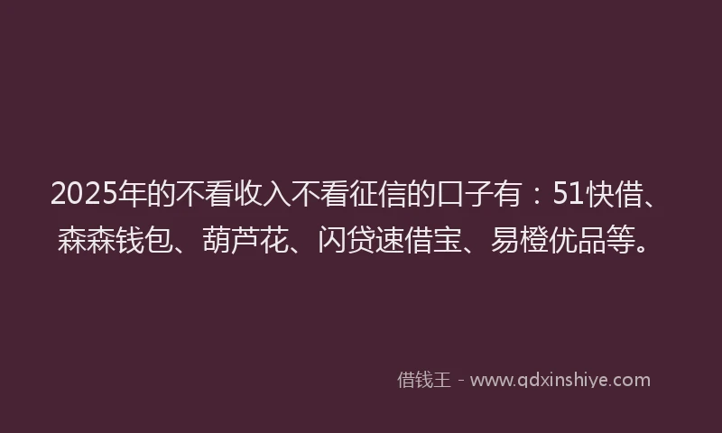 2025年的不看收入不看征信的口子有：51快借、森森钱包、葫芦花、闪贷速借宝、易橙优品等。