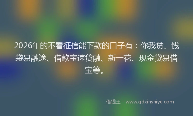 2026年的不看征信能下款的口子有：你我贷、钱袋易融途、借款宝速贷融、新一花、现金贷易借宝等。
