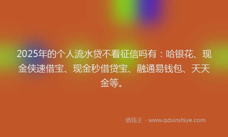 2025年的个人流水贷不看征信吗有：哈银花、现金侠速借宝、现金秒借贷宝、融通易钱包、天天金等。