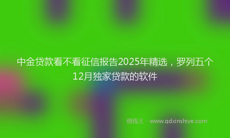 中金贷款看不看征信报告2025年精选，罗列五个12月独家贷款的软件