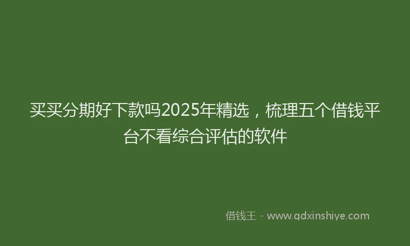 买买分期好下款吗2025年精选,梳理五个借钱平台不看综合评估的软件