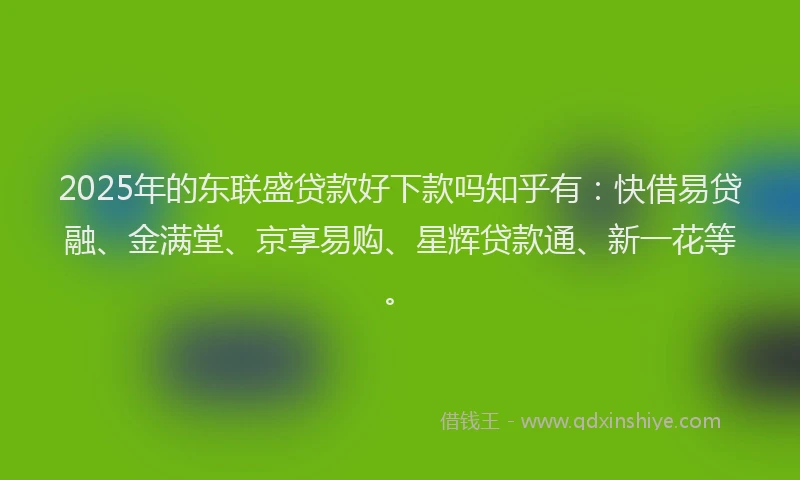 2025年的东联盛贷款好下款吗知乎有：快借易贷融、金满堂、京享易购、星辉贷款通、新一花等。