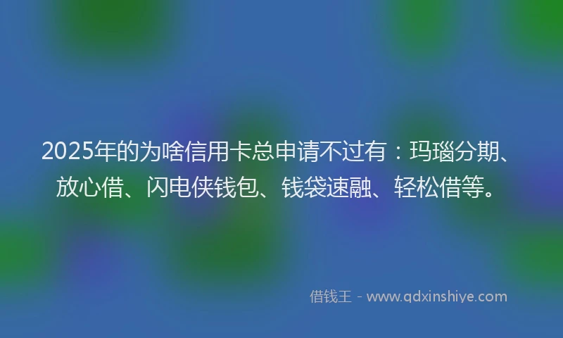 2025年的为啥信用卡总申请不过有：玛瑙分期、放心借、闪电侠钱包、钱袋速融、轻松借等。