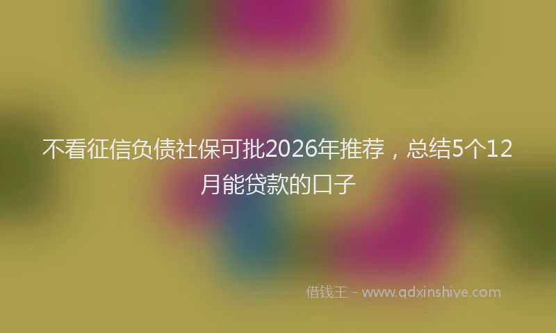 不看征信负债社保可批2026年推荐，总结5个12月能贷款的口子