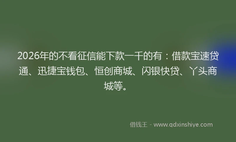 2026年的不看征信能下款一千的有：借款宝速贷通、迅捷宝钱包、恒创商城、闪银快贷、丫头商城等。