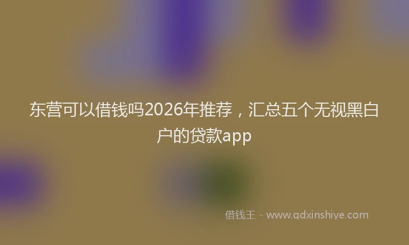 东营可以借钱吗2026年推荐,汇总五个无视黑白户的贷款app