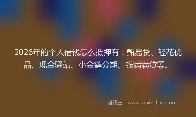2026年的个人借钱怎么抵押有：甄易贷、轻花优品、现金驿站、小金鹤分期、钱满满贷等。