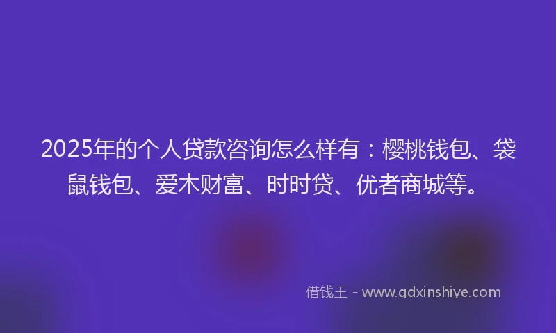 2025年的个人贷款咨询怎么样有：樱桃钱包、袋鼠钱包、爱木财富、时时贷、优者商城等。