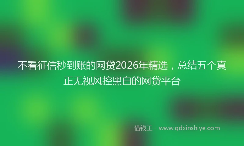 不看征信秒到账的网贷2026年精选，总结五个真正无视风控黑白的网贷平台