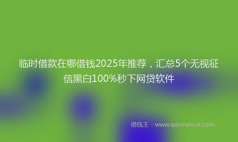 临时借款在哪借钱2025年推荐，汇总5个无视征信黑白100%秒下网贷软件