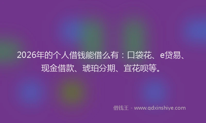 2026年的个人借钱能借么有：口袋花、e贷易、现金借款、琥珀分期、宜花呗等。
