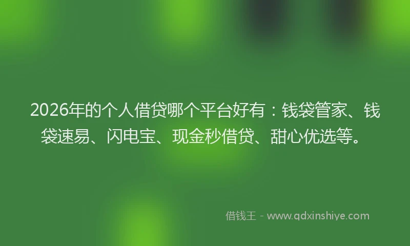 2026年的个人借贷哪个平台好有:钱袋管家、钱袋速易、闪电宝、现金秒借贷、甜心优选等。