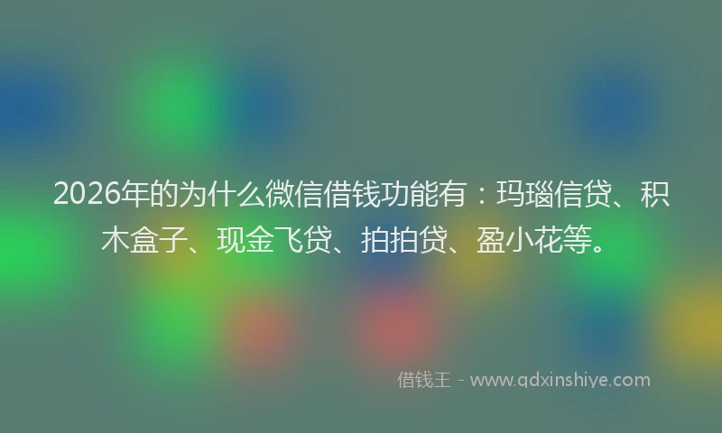 2026年的为什么微信借钱功能有：玛瑙信贷、积木盒子、现金飞贷、拍拍贷、盈小花等。