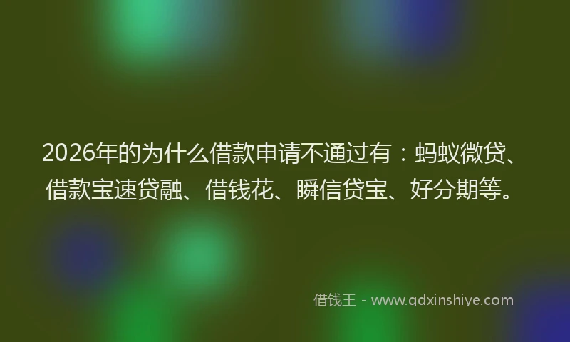 2026年的为什么借款申请不通过有：蚂蚁微贷、借款宝速贷融、借钱花、瞬信贷宝、好分期等。