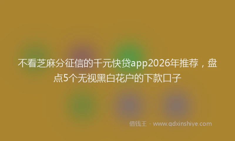 不看芝麻分征信的千元快贷app2026年推荐，盘点5个无视黑白花户的下款口子