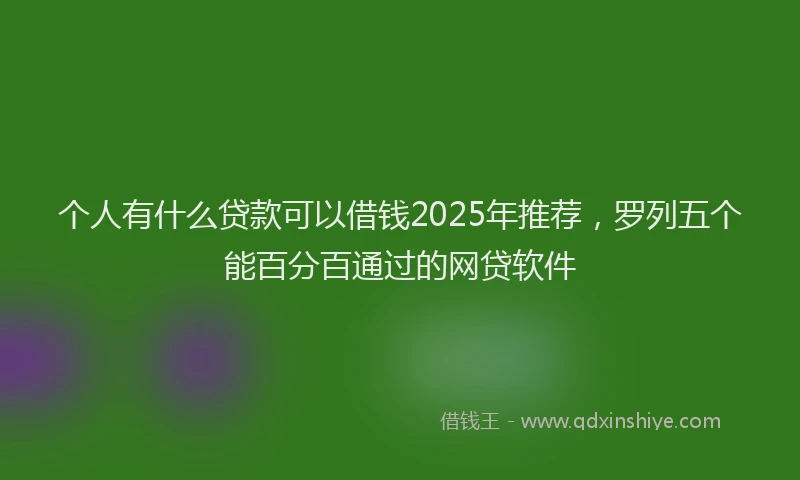 个人有什么贷款可以借钱2025年推荐，罗列五个能百分百通过的网贷软件