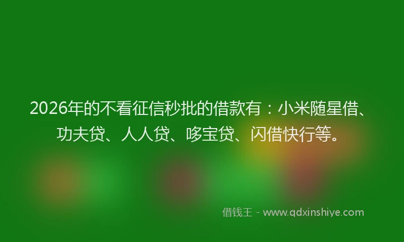 2026年的不看征信秒批的借款有：小米随星借、功夫贷、人人贷、哆宝贷、闪借快行等。