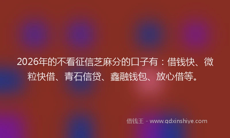 2026年的不看征信芝麻分的口子有：借钱快、微粒快借、青石信贷、鑫融钱包、放心借等。