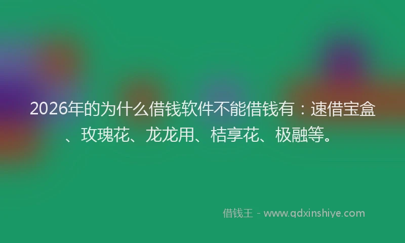2026年的为什么借钱软件不能借钱有：速借宝盒、玫瑰花、龙龙用、桔享花、极融等。