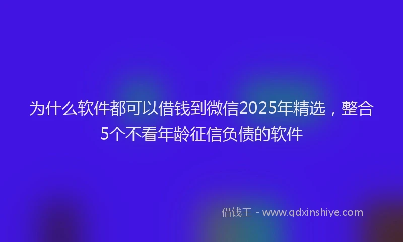 为什么软件都可以借钱到微信2025年精选，整合5个不看年龄征信负债的软件