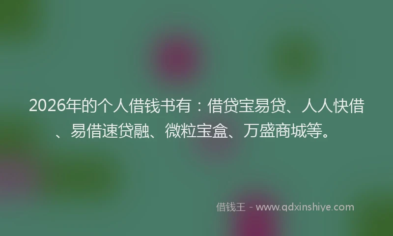 2026年的个人借钱书有：借贷宝易贷、人人快借、易借速贷融、微粒宝盒、万盛商城等。