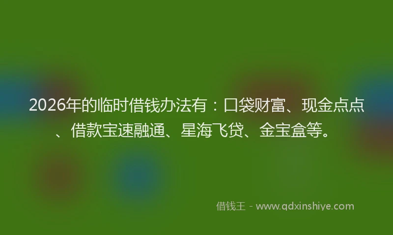 2026年的临时借钱办法有：口袋财富、现金点点、借款宝速融通、星海飞贷、金宝盒等。