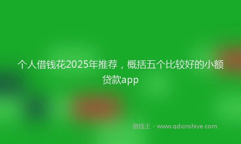 个人借钱花2025年推荐，概括五个比较好的小额贷款app
