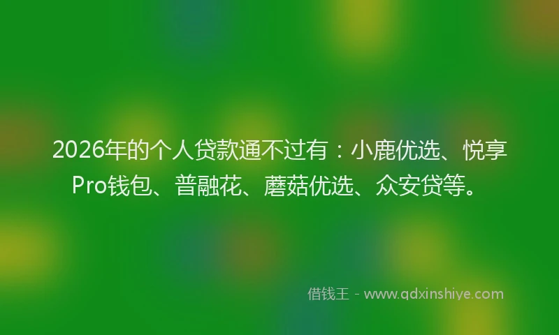 2026年的个人贷款通不过有：小鹿优选、悦享Pro钱包、普融花、蘑菇优选、众安贷等。