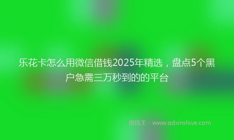 乐花卡怎么用微信借钱2025年精选，盘点5个黑户急需三万秒到的的平台