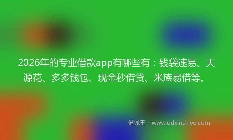 2026年的专业借款app有哪些有：钱袋速易、天源花、多多钱包、现金秒借贷、米族易借等。