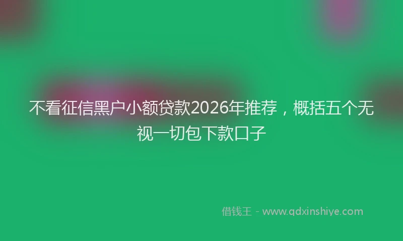 不看征信黑户小额贷款2026年推荐，概括五个无视一切包下款口子